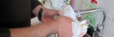 مطلوب أزواج للإيجار بالساعة 10 زوج للإيجار