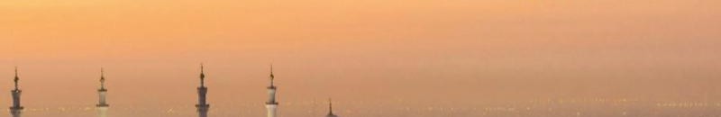 الطيران السعودية تسير أولى رحلاتها إلى الخارج 10 طيران