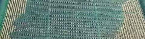 بالصورة.. مبدع سوداني ينسج خريطة الوطن علي احد ألأسره 11 11009860 867475699983741 1457596406946210603 n