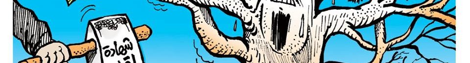 11042944 877557258934513 4399244781024787978 n