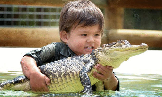 بالفيديو: مذيعة تستضيف (تمساحاً حقيقياً) على الهواء بعد ظهوره في النيل 1 تمساح