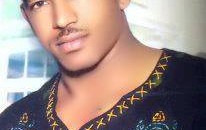 عماد ابو شيبة