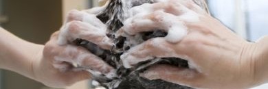 شاهد بالفيديو.. أغرب طريقة لعلاج قشرة الشعر 10 غسل شعر