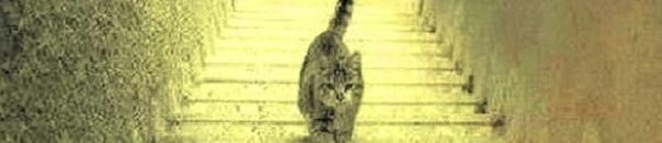 قطط .. شرق المدينة!؟! 10 قطة