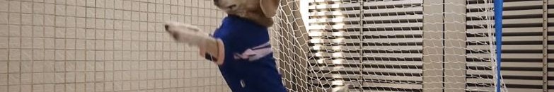 شاهد بالفيديو .. كلب يقلد البشر يثير دهشة رواد مواقع التواصل 10 كلب حارس