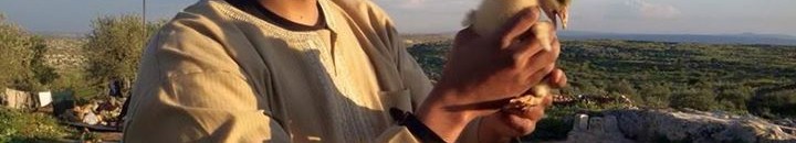 محمد مامون مكي