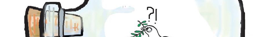 11178274 689634084493400 3283918764579898645 n