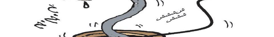 11182239 687814621342013 4719939353064466274 n