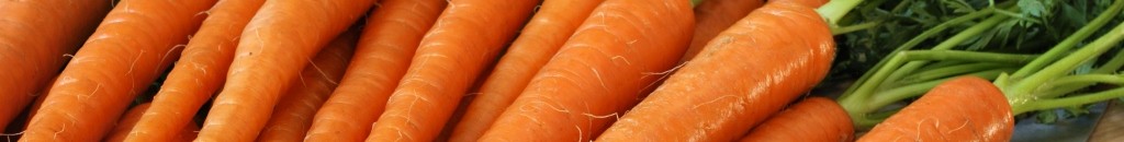 الجزر يحسن وظائف الجسم ويقيها من الأمراض 10 3dc4876f3f08201c7c76cb71fa1da439