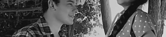 3f17c5df322540073e5f0fd863f221ab 123504999 147