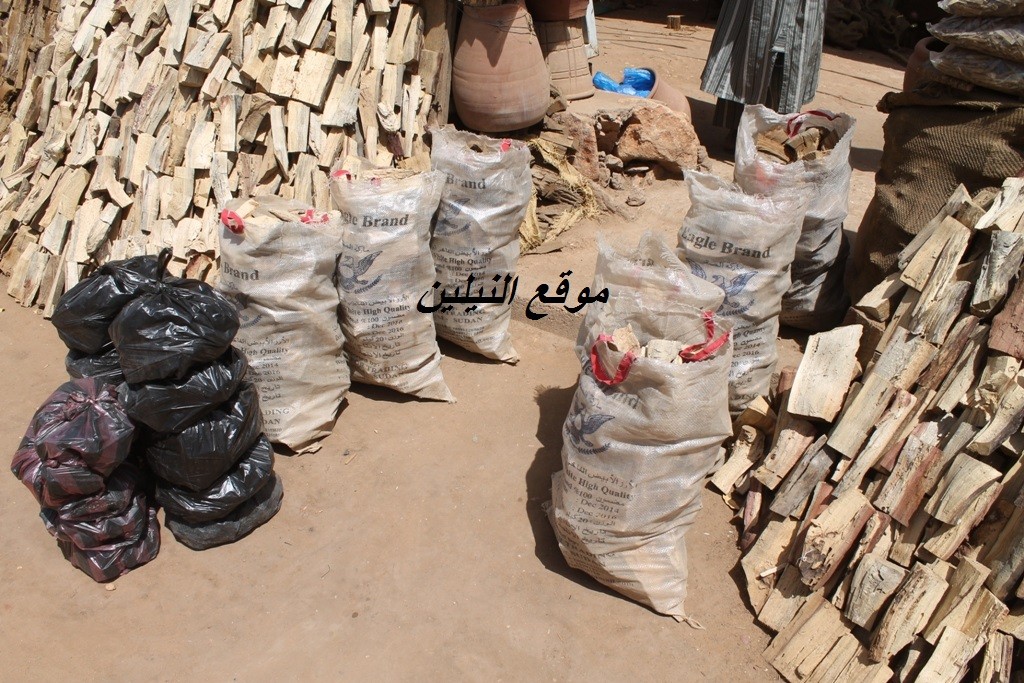 اسعار الطلح