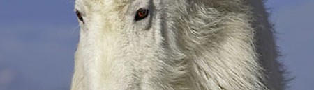 alkethran 8f7882d193