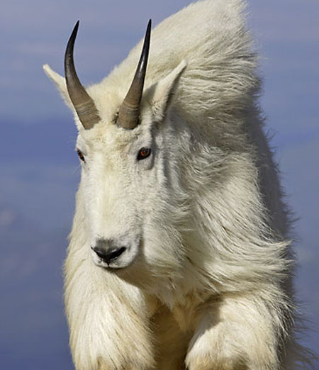 alkethran 8f7882d193