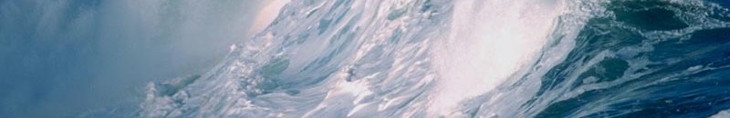 بالفيديو: زوجان ينجوان بأعجوبة بعد أن جرفتهما موجة عاتية 10 امواج1