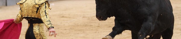 بالفيديو .. يعشق "الويسكي" ووجبته اليومية ستدهشك .. تعرف على "سلطان الهندي" الثور الأغلى والأضخم في العالم 10 ثور