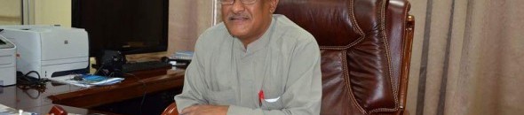 جلال الدين أحمد شلية