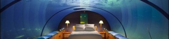 شهـــر العســـل 10 شهر العسل