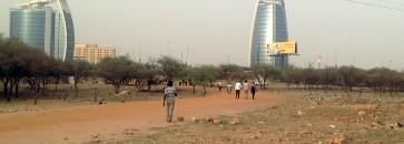 غابة الخرطوم السنط