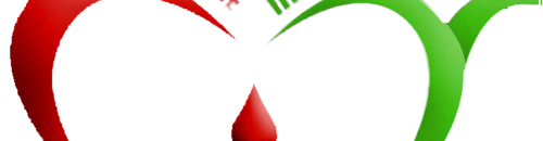 مبادرة شارع الحوادث