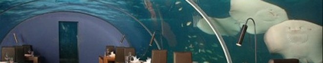 حيلة عبقرية من مسافر منحته غداء مجانيا فاخرا لمدة عام 10 مطعم1