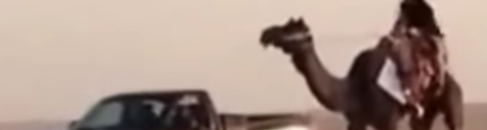 وقعت من الجمل