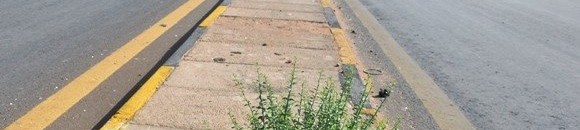 11059640 958087497545950 2526828498374493555 n