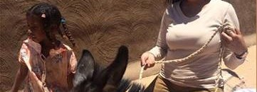 الحمير السودانية تساهم في تحرير أنقولا 10 11209755 921941891201834 7936508864564656113 n 3