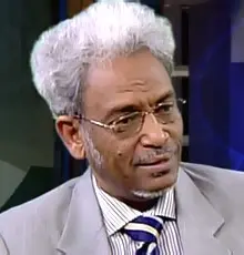 أمين حسن عمر