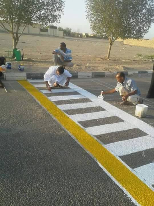 انطلاق حملة إصحاح البئية الكبرى بمدينة دنقلا 1 دنقلا2