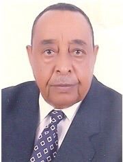 عز الدين السيد