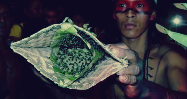 بالصور: 6 طرق غريبة لإثبات الرجولة حول العالم: اختبار نمل الرصاص 1 قفاز النمل