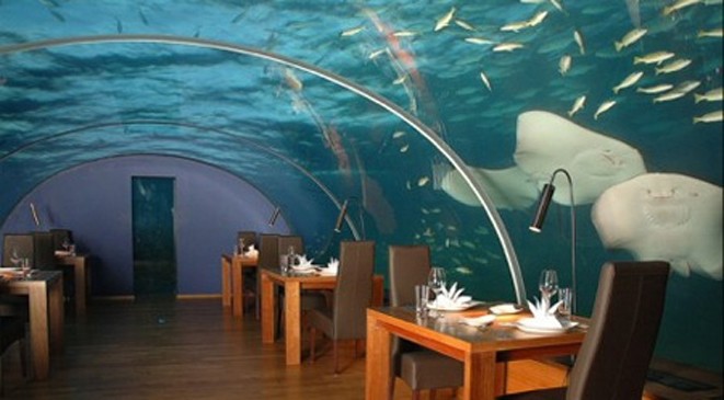 حيلة عبقرية من مسافر منحته غداء مجانيا فاخرا لمدة عام 1 مطعم1