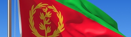 وزير الخارجية الإريتري يصل الى مطار مقديشو 10 إريتريا