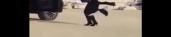 رقيص في الشارع