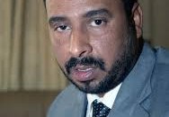 عبدالمحمود النور