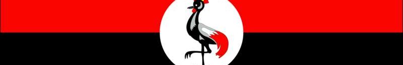 السياحة في أوغندا تسهم في حماية الغوريلا الجبلية المهددة بالانقراض 10 علم يوغندا