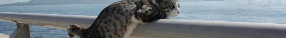 كديسة ظريفة