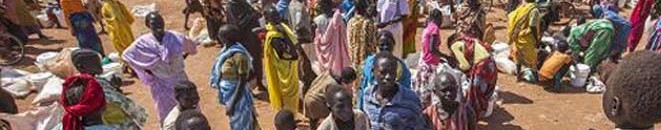 مساعدات الإمارات.. ممرات أمل تضيء دروب النازحين السودانيين في تشاد 10 نازحين