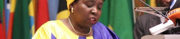 الإتحاد الأفريقي يشجب الهجوم على قوات"يوناميد" بدارفور 10 نكوسازانا دلاميني