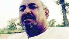 وزير الدولة بمجلس الوزراء طارق أحمد توفيق