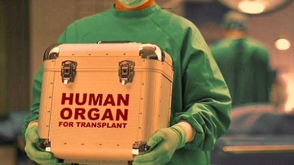 زوجة أول من خضع لزرع عضو ذكري.. حامل بشهرها الرابع 1 03ea599c 352e 48af b699