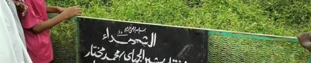 10438159 579593338846929 3551911766726985297 n1