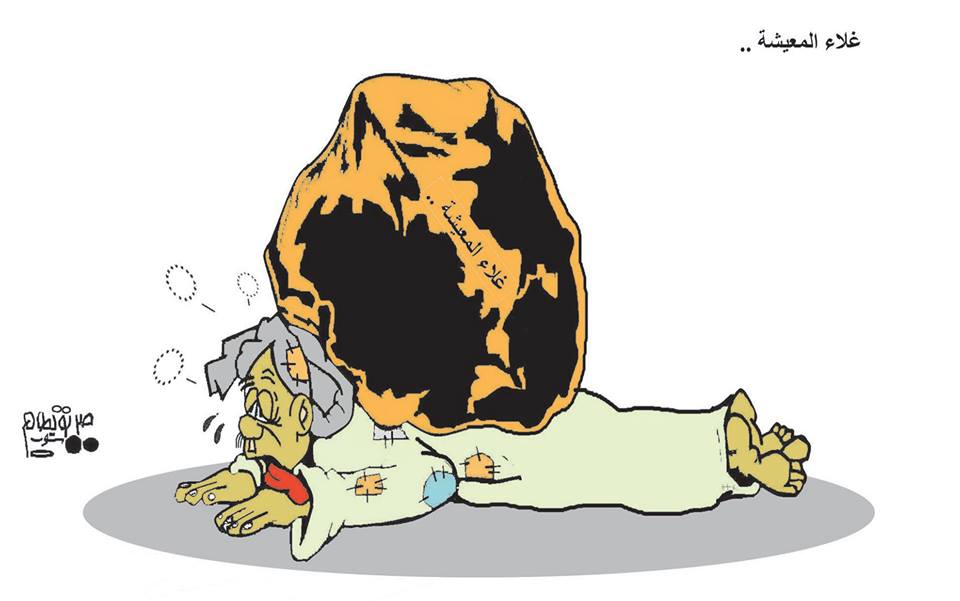 11148739 709249405865201 8194665360039649447 n