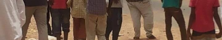 1480682 831521233590360 7525650561327994015 n