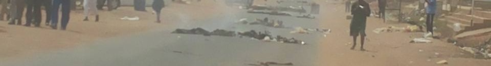 1503905 896292817079157 3636109283253921772 n