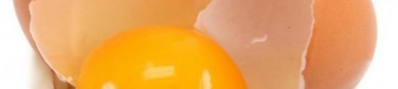 عدد السعرات الحرارية في البيض قد يفاجئك! 10 elbashayer image 1433079349