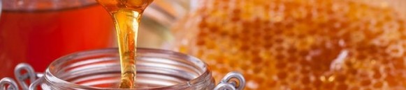 elbashayer image 1433096508