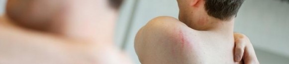 elbashayer image 1433959324