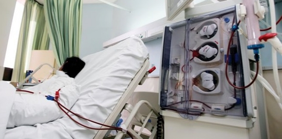 elbashayer image 14344424271