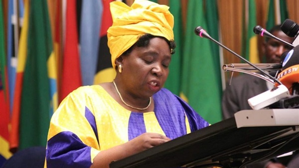 الإتحاد الأفريقي يشجب الهجوم على قوات"يوناميد" بدارفور 1 نكوسازانا دلاميني